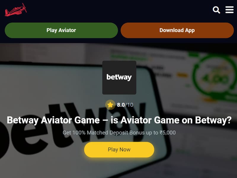 Вывод об Авиаторе